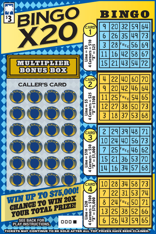 Bingo X20