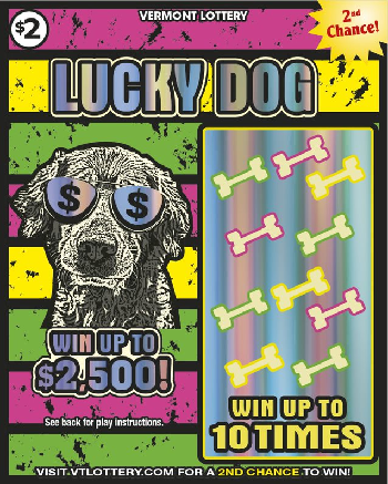 Lucky Dog | Cool Cat